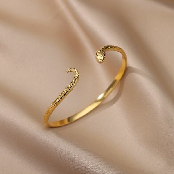 bangle punk snake bangles for men women open gold color stainless steel animal snake cuff bracelets gothic party jewelry accessories 230511, Black
bangle punk snake bangles for men women open gold color stainless steel animal snake cuff bracelets gothic party jewelry accessories 230511, Black