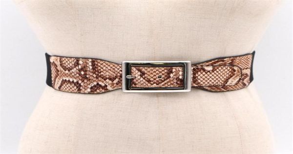 belts personalized snake skin pattern buckle elastic waist female dress coat accessories fashion wide belt7722223, Black;brown
belts personalized snake skin pattern buckle elastic waist female dress coat accessories fashion wide belt7722223, Black;brown