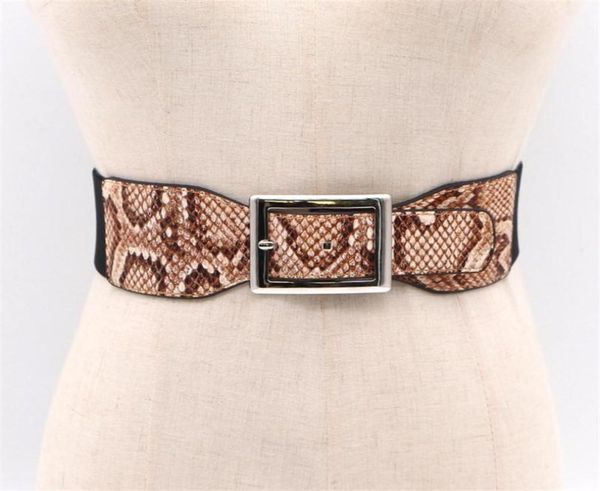 belts personalized snake skin pattern buckle elastic waist female dress coat accessories fashion wide belt9857515, Black;brown
belts personalized snake skin pattern buckle elastic waist female dress coat accessories fashion wide belt9857515, Black;brown