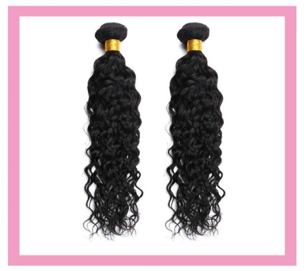 brazilian human hair water wave 2 pieceslot double wefts curly two bundles natural color 1030inch8445227, Black
brazilian human hair water wave 2 pieceslot double wefts curly two bundles natural color 1030inch8445227, Black