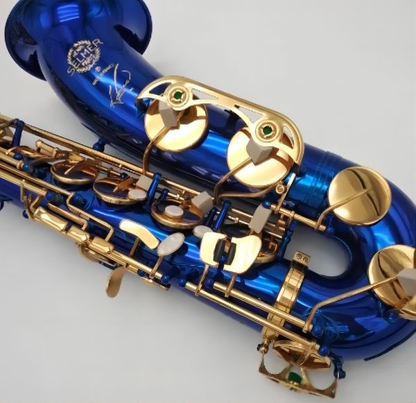 alto saxophone and 54 blue saxophone gold alto saxophone instrument with accessories2588
alto saxophone and 54 blue saxophone gold alto saxophone instrument with accessories2588