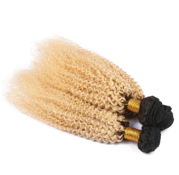 two tone 1b 613 blonde human hair weaves afro kinky curly ombre hair weaves malaysian virgin hair extension 3pcslot3652522, Black;brown
two tone 1b 613 blonde human hair weaves afro kinky curly ombre hair weaves malaysian virgin hair extension 3pcslot3652522, Black;brown