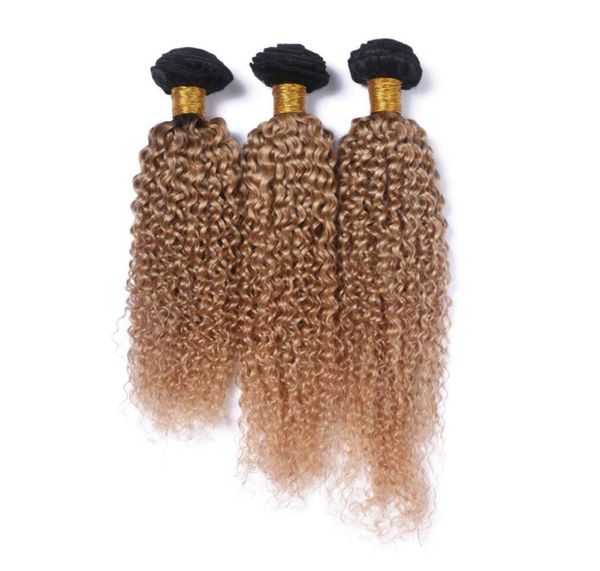 ombre blonde human hair weave brazilian virgin hair deep curly hair extension 3 bundle two tone color t1b27 curly bundles wholesa6318989, Black;brown
ombre blonde human hair weave brazilian virgin hair deep curly hair extension 3 bundle two tone color t1b27 curly bundles wholesa6318989, Black;brown