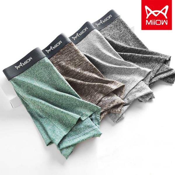 underpants miiow men's underwear graphene antibacterial boxer shorts cotton shorts 3cps 0067 230515, Black;white
underpants miiow men's underwear graphene antibacterial boxer shorts cotton shorts 3cps 0067 230515, Black;white