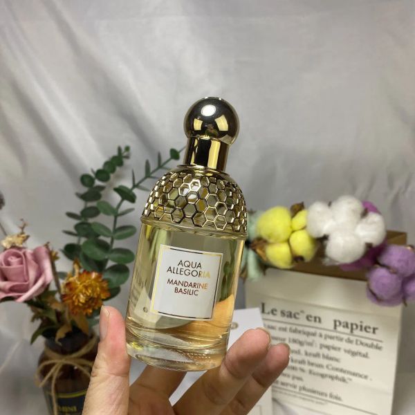 premierlash 75ml g brand french herba mint and vanilla women perfume cologne intense fragrances long lasting spray cologne 001
premierlash 75ml g brand french herba mint and vanilla women perfume cologne intense fragrances long lasting spray cologne 001