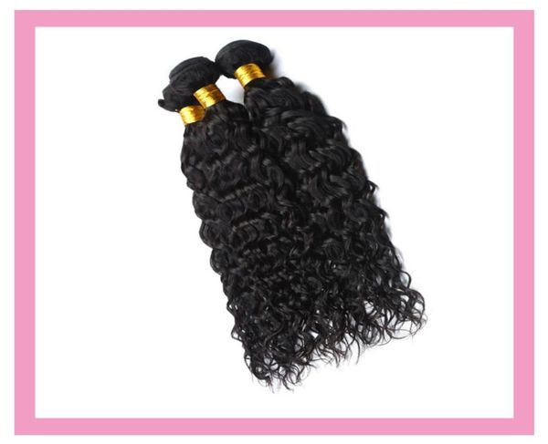 peruvian human virgin hair water wave 2 bundles 95100gpiece curly weaves remy extensions 1030inch7195280, Black
peruvian human virgin hair water wave 2 bundles 95100gpiece curly weaves remy extensions 1030inch7195280, Black