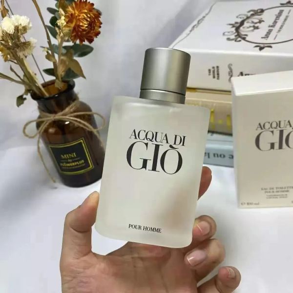 lady parfum perfume for men's 100ml with long lasting time good quality high fragrance capactity giq
lady parfum perfume for men's 100ml with long lasting time good quality high fragrance capactity giq