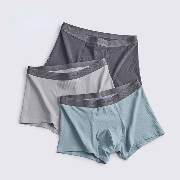 underpants hss striped solid color cotton boxer shorts head traceless comfort plus size personality wholesale men's underwear 230515, Black;white
underpants hss striped solid color cotton boxer shorts head traceless comfort plus size personality wholesale men's underwear 230515, Black;white