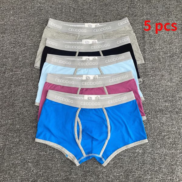 underpants 5 pcs/lot stripe 365 men underwear men's boxer underwear trunks cotton boxers shorts underwears 230515, Black;white
underpants 5 pcs/lot stripe 365 men underwear men's boxer underwear trunks cotton boxers shorts underwears 230515, Black;white