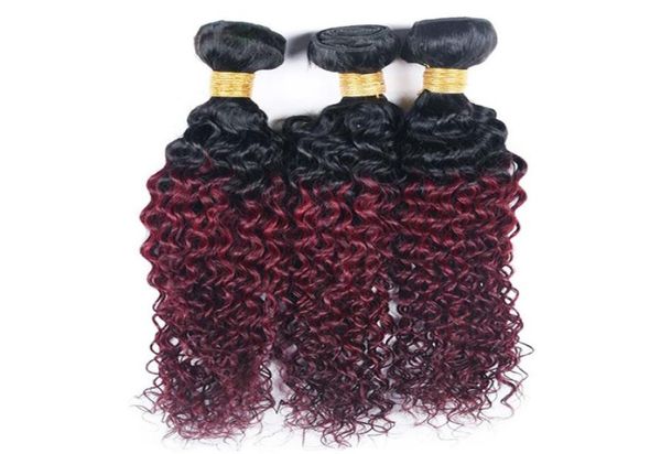 dark roots 1b 99j kinky curly hair weave 3 bundles brazilian ombre color red wine curly virgin human hair extensions 3pcslo5774747, Black
dark roots 1b 99j kinky curly hair weave 3 bundles brazilian ombre color red wine curly virgin human hair extensions 3pcslo5774747, Black