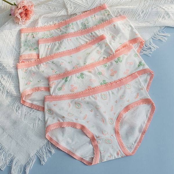 women's panties 5pcs/set girl's underwear briefs cotton women's panties breathable soft lingerie plus size pantys female ladi, Black;pink
women's panties 5pcs/set girl's underwear briefs cotton women's panties breathable soft lingerie plus size pantys female ladi, Black;pink
