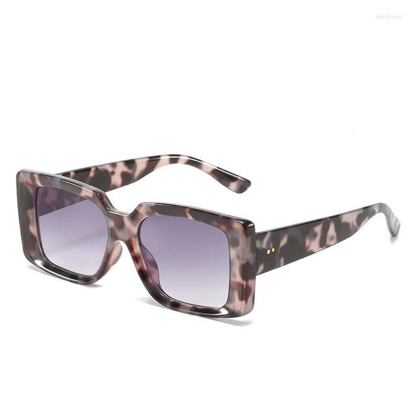 sunglasses sunglasses trendy vintage women's square frame stylish girls ladies sun glasses outdoor eyewear female travel uv400 fashion, White;black
sunglasses sunglasses trendy vintage women's square frame stylish girls ladies sun glasses outdoor eyewear female travel uv400 fashion, White;black