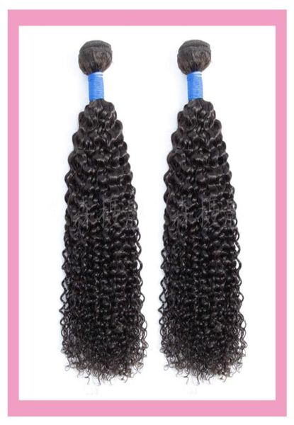 brazilian kinky curly 2 pieceslot 100 human hair extensions kinky curly two bundles double wefts brazilian virgin hair whole2474523, Black
brazilian kinky curly 2 pieceslot 100 human hair extensions kinky curly two bundles double wefts brazilian virgin hair whole2474523, Black