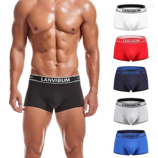 underpants boxers men underwear cotton comfortable underware lingerie breathable mens fashion, Black;white
underpants boxers men underwear cotton comfortable underware lingerie breathable mens fashion, Black;white