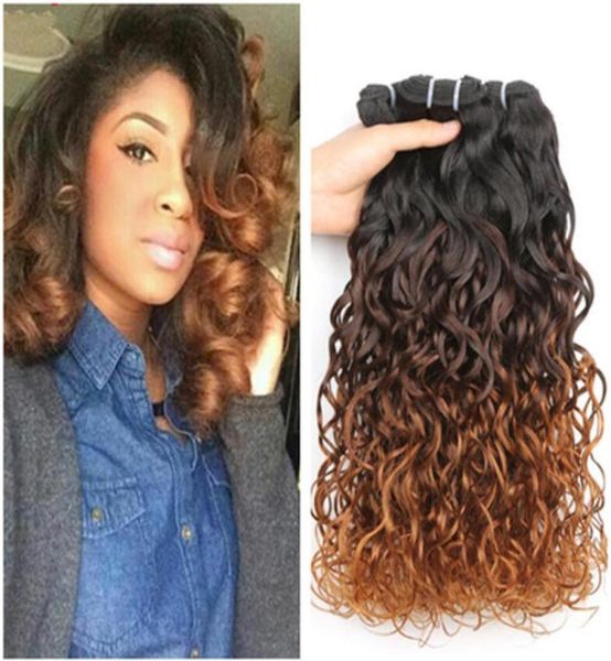 wet and wavy peruvian 3tone ombre virgin human hair bundles 3pcs water wave 1b430 medium auburn ombre human hair weaves extensi6176972, Black
wet and wavy peruvian 3tone ombre virgin human hair bundles 3pcs water wave 1b430 medium auburn ombre human hair weaves extensi6176972, Black