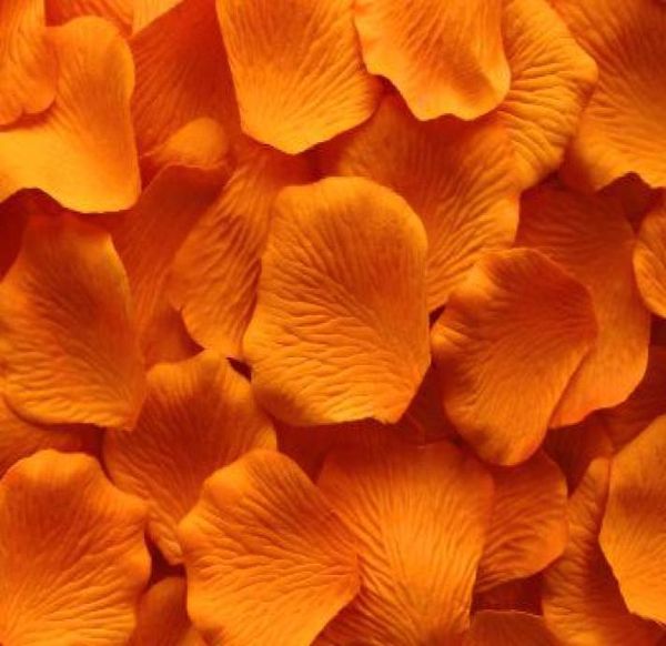 2000 pcs orange silk rose petal petals wedding favors party decoration or choose colors9124231
2000 pcs orange silk rose petal petals wedding favors party decoration or choose colors9124231