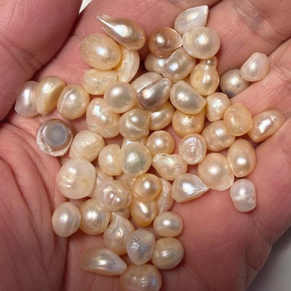 crystal natural freshwater pearl loose beads no hole mixed colors 79mm 500g/bag pearl beads fashion jewelry
crystal natural freshwater pearl loose beads no hole mixed colors 79mm 500g/bag pearl beads fashion jewelry