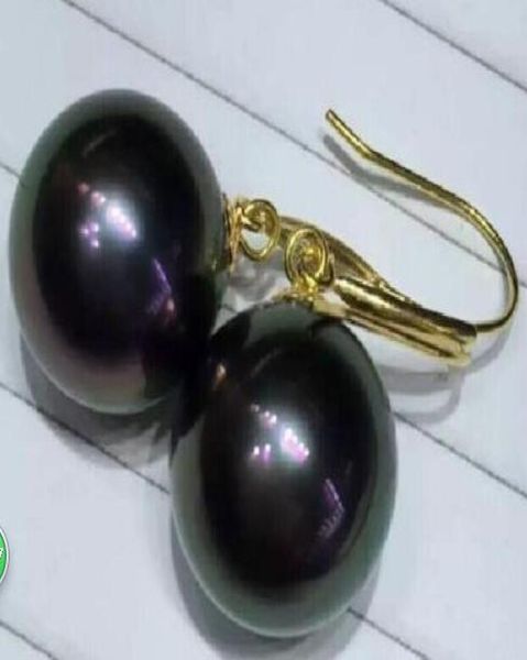 170319charmingnatural1011mmtahitianblackpearlearring14kyellowgold 170319charmingnatural1011mmtahitianblackpearlea3122319, Silver
170319charmingnatural1011mmtahitianblackpearlearring14kyellowgold 170319charmingnatural1011mmtahitianblackpearlea3122319, Silver