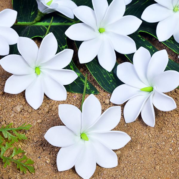 headwear hair accessories 5pcs arrival summer beach pin artificial tiara flower clip hawaii tropical headflower 230517
headwear hair accessories 5pcs arrival summer beach pin artificial tiara flower clip hawaii tropical headflower 230517