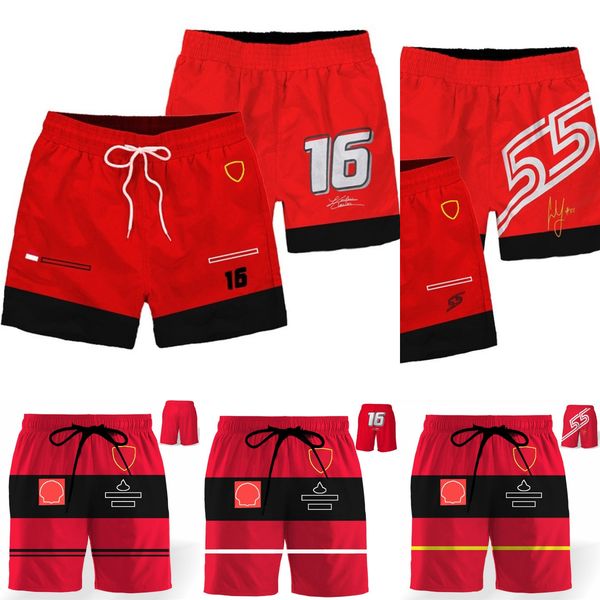 2023 new f1 red team men shorts formula 1 racing driver fashion shorts summer men's sports casual shorts quick dry short pants
2023 new f1 red team men shorts formula 1 racing driver fashion shorts summer men's sports casual shorts quick dry short pants
