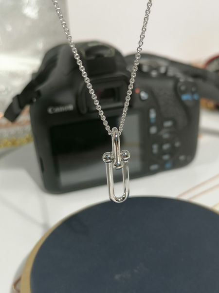 rose gold silver jewelry long horseshoe necklaces designer for women men couple fashion wedding party thanksgiving day valentine gifts dress
rose gold silver jewelry long horseshoe necklaces designer for women men couple fashion wedding party thanksgiving day valentine gifts dress