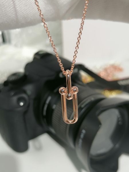 gold silver jewelry long horseshoe necklaces designer for women men couple fashion wedding party thanksgiving day valentine gifts dress work
gold silver jewelry long horseshoe necklaces designer for women men couple fashion wedding party thanksgiving day valentine gifts dress work