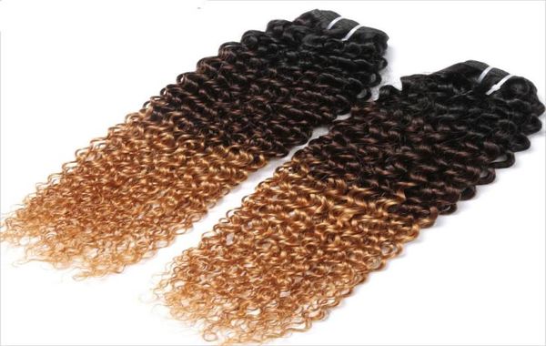 

brazilian human virgin hair weft ombre 1b427 brown blonde kinky curly weaves double drawn 100g one bundle1715152, Black