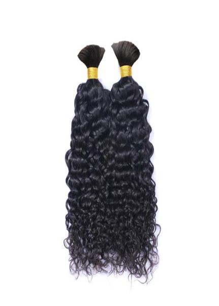 brazilian water wave bulk human hair for braiding no weft bulk hair bundles tight curly 100g natural black brown blonde8365877
brazilian water wave bulk human hair for braiding no weft bulk hair bundles tight curly 100g natural black brown blonde8365877