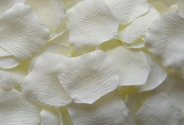 2000 pcs ivory silk rose petal petals wedding favors party decoration5029726
2000 pcs ivory silk rose petal petals wedding favors party decoration5029726