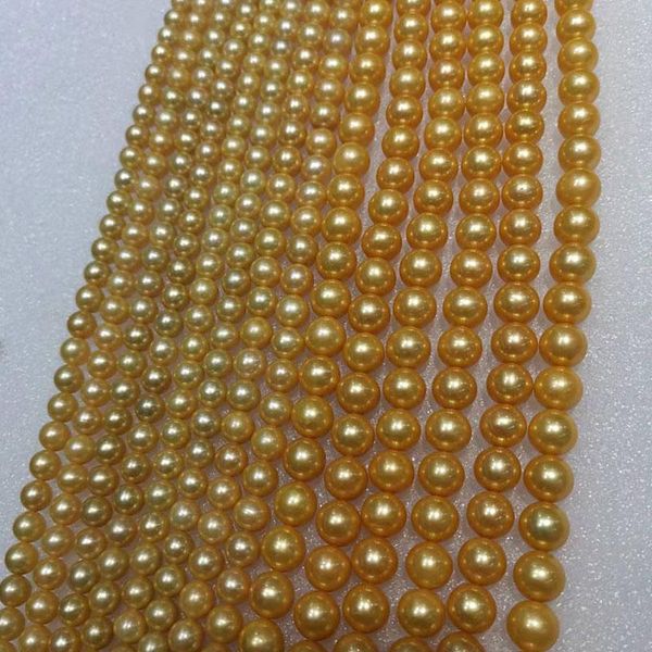 crystal golden freshwater pearl round loose spacer beads for jewelry making diy accessorries pearl for necklace bracelet 8 10 12mm
crystal golden freshwater pearl round loose spacer beads for jewelry making diy accessorries pearl for necklace bracelet 8 10 12mm