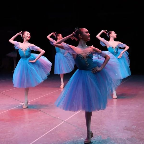 dancewear white ballet dress performance clothes long romantic ballet tutu swan lake ballerine femme children girls fairy ballet costume 230, Blue
dancewear white ballet dress performance clothes long romantic ballet tutu swan lake ballerine femme children girls fairy ballet costume 230, Blue