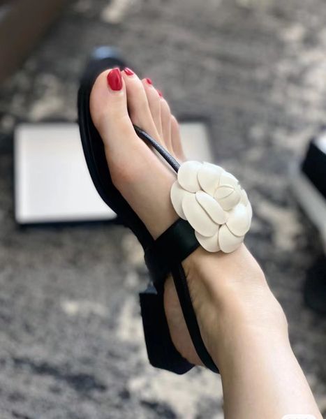 summer beach brand women slippers fashion camellia leather colorful luxury designer breathable sandals flat shoes outdoor casual shoes, Black
summer beach brand women slippers fashion camellia leather colorful luxury designer breathable sandals flat shoes outdoor casual shoes, Black