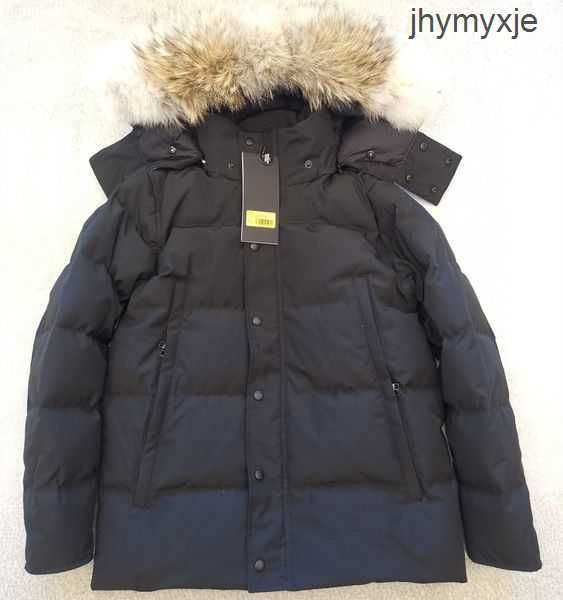 men black wyndham down jacket nylon short coat coyote fur winter warm parkas snap-flap pocket hooded windproof outwear gu5o
men black wyndham down jacket nylon short coat coyote fur winter warm parkas snap-flap pocket hooded windproof outwear gu5o
