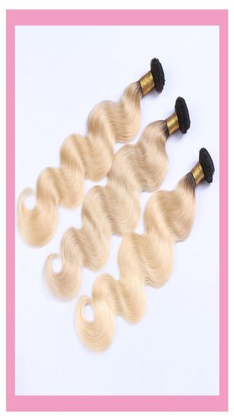 malaysian human hair 1b613 body wave light color double wefts 3 bundles virgin hair whole 1b 613 hair wefts 1028inch6446981, Black
malaysian human hair 1b613 body wave light color double wefts 3 bundles virgin hair whole 1b 613 hair wefts 1028inch6446981, Black