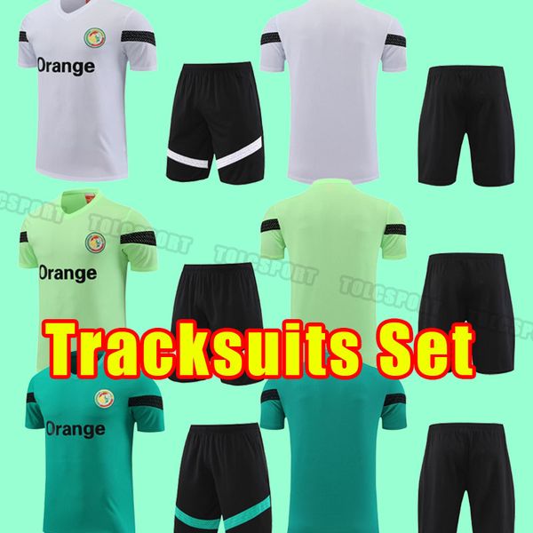2022 2023 brazils soccer tracksuits marcelo pele paqueta neres coutinho firmino jesus vini jr 22 23 brasils football shirt short sleeve trac, Black
2022 2023 brazils soccer tracksuits marcelo pele paqueta neres coutinho firmino jesus vini jr 22 23 brasils football shirt short sleeve trac, Black