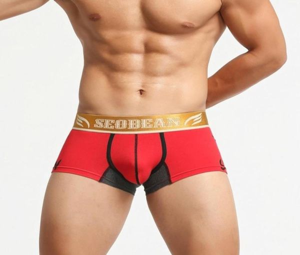 men039s swimwear 2021 printed fashion breathable cotton boxer briefs lowrise uconvex design trendy shorts4793882
men039s swimwear 2021 printed fashion breathable cotton boxer briefs lowrise uconvex design trendy shorts4793882