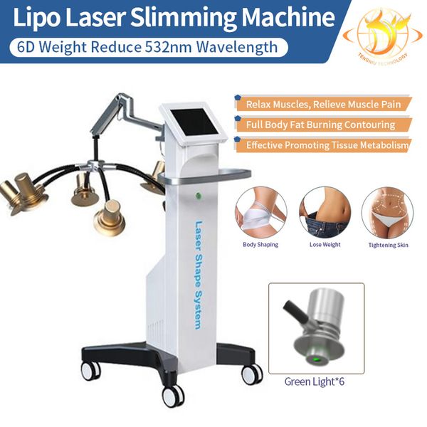 beauty items 532/635nm cold source red/green light therapy 6d laser body slimming machine
beauty items 532/635nm cold source red/green light therapy 6d laser body slimming machine