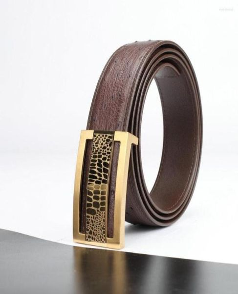 belts business plate buckle belt ostrich leather trendy allmatch masculino holographic ceinture homme for women8743539, Black;brown
belts business plate buckle belt ostrich leather trendy allmatch masculino holographic ceinture homme for women8743539, Black;brown