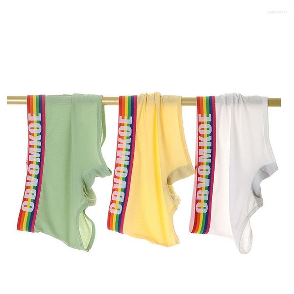 women's ice silk underwear rainbow boxer briefs for women's tomboy trans lesbian lgbt panties women lingerie, Black;pink
women's ice silk underwear rainbow boxer briefs for women's tomboy trans lesbian lgbt panties women lingerie, Black;pink