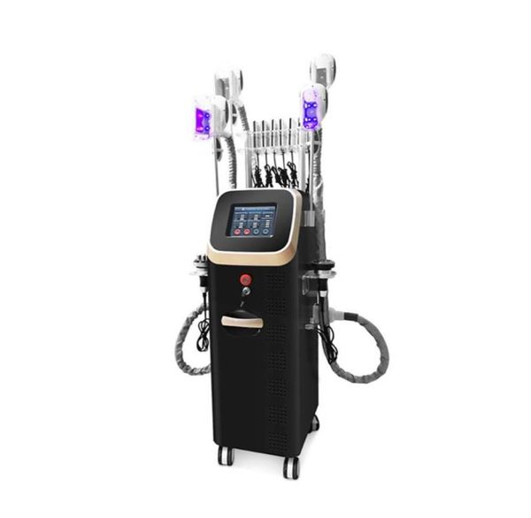 multifunction alloy fat zing machine ultrasound cavitation rf suitable for various parts of the body to create a bikini body2366599
multifunction alloy fat zing machine ultrasound cavitation rf suitable for various parts of the body to create a bikini body2366599