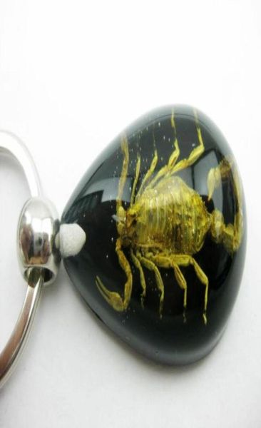 10 pcs scorpion insect jewelry black bottom color drop scorpion new25671218528252, Slivery;golden
10 pcs scorpion insect jewelry black bottom color drop scorpion new25671218528252, Slivery;golden