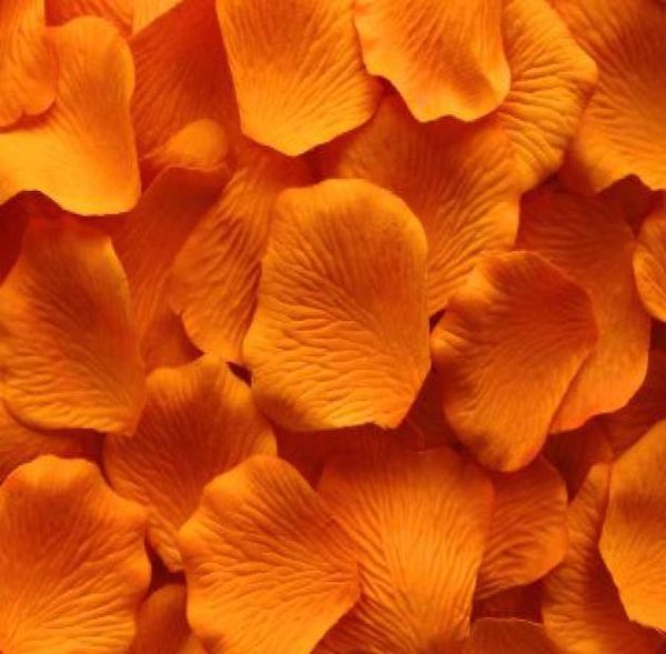 2000 pcs orange silk rose petal petals wedding favors party decoration or choose colors2552268
2000 pcs orange silk rose petal petals wedding favors party decoration or choose colors2552268