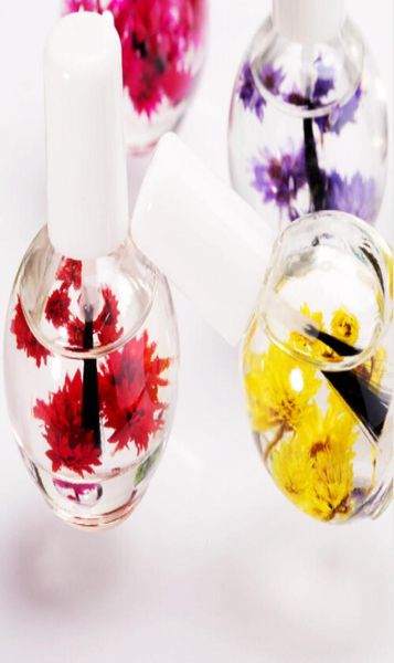 12ml cuticle revitalizer nail oil for treatment nutritious gel polish nail art dry flowers defender nail oil manicure3809009
12ml cuticle revitalizer nail oil for treatment nutritious gel polish nail art dry flowers defender nail oil manicure3809009