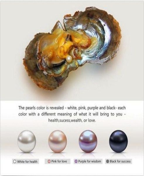 whole individually wrapped oysters with large natural pearls 67mm gift jewelry 100pcs lots dhl 7796377, White
whole individually wrapped oysters with large natural pearls 67mm gift jewelry 100pcs lots dhl 7796377, White