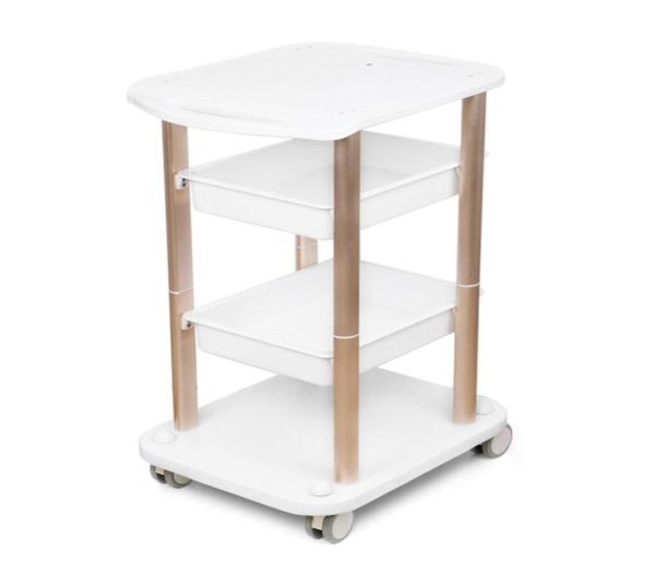 stand trolley salon trolley cart assembled abs aluminum 2 shelf rolling cart salon ultrasonic ultrasound body face display9936425
stand trolley salon trolley cart assembled abs aluminum 2 shelf rolling cart salon ultrasonic ultrasound body face display9936425