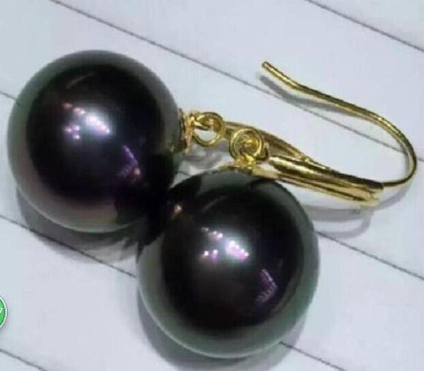 170319charmingnatural1011mmtahitianblackpearlearring14kyellowgold 170319charmingnatural1011mmtahitianblackpearlea31223199389793, Silver
170319charmingnatural1011mmtahitianblackpearlearring14kyellowgold 170319charmingnatural1011mmtahitianblackpearlea31223199389793, Silver