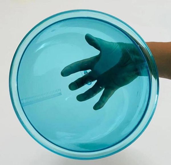 21cm king size vacuum suction blue xxl cups for a colombian butt lift treatment 2pcs cupping accessories8483368
21cm king size vacuum suction blue xxl cups for a colombian butt lift treatment 2pcs cupping accessories8483368