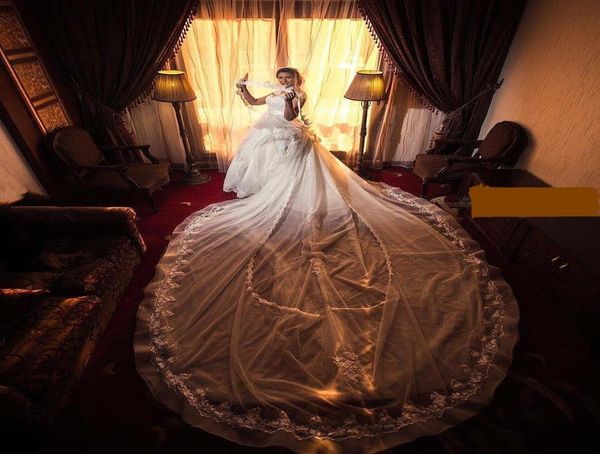 2016 luxury bridal veil lace appliques white and ivory lace edge cathedral train custom made bridal veil accessories dhyz 012451434, Black
2016 luxury bridal veil lace appliques white and ivory lace edge cathedral train custom made bridal veil accessories dhyz 012451434, Black