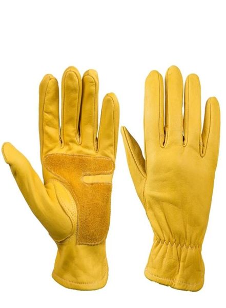 cowhide gloves leather genuine motorcycle motocross motorbike biker racing riding hand motor moto men 2112237848497, Blue;gray
cowhide gloves leather genuine motorcycle motocross motorbike biker racing riding hand motor moto men 2112237848497, Blue;gray