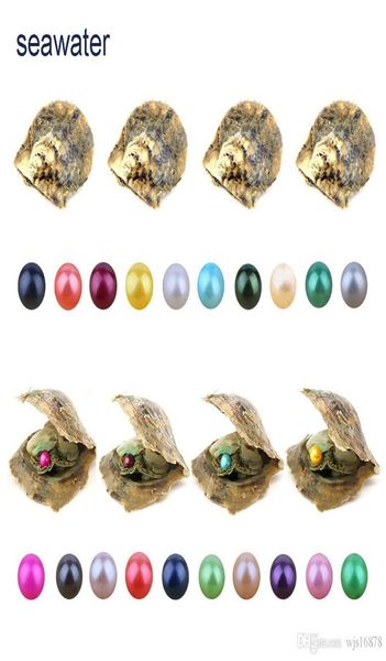 whole diy 67mm round akoya pearls oyster 27 mixed colors natural grade oyster mussel jewelry making trend gift surprise3221663, White
whole diy 67mm round akoya pearls oyster 27 mixed colors natural grade oyster mussel jewelry making trend gift surprise3221663, White
